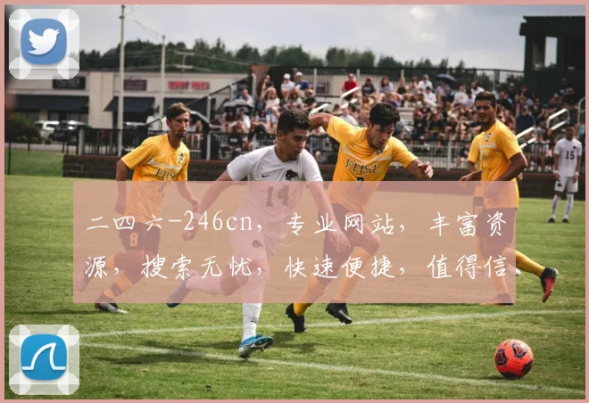二四六-246cn，专业网站，丰富资源，搜索无忧，快速便捷，值得信赖